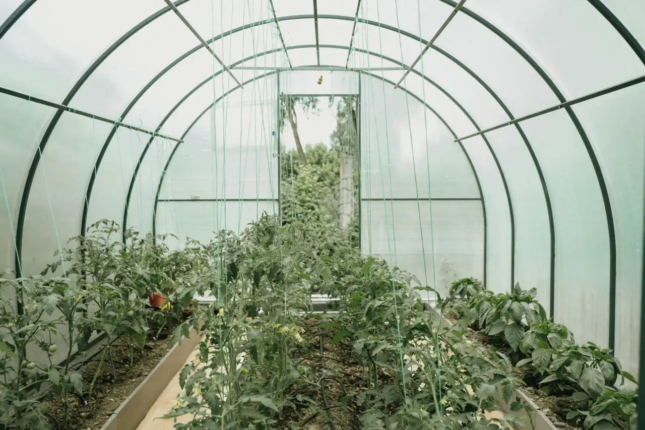 河南有机农业发展现状与优质种植技术推广路径分析正文配图 1