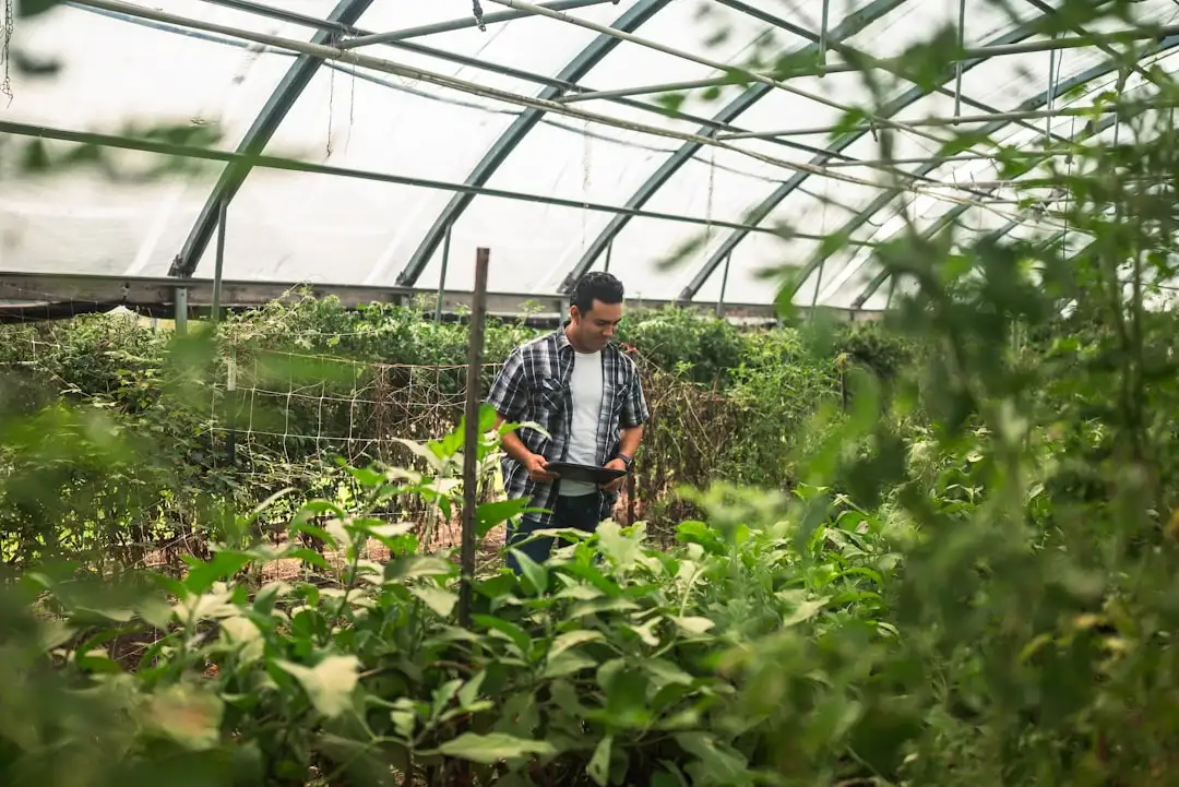 河南沃尔美有机种植技术服务体系与品种改良方案详解正文配图 2